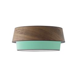 Plafón de Techo BRIANA Madera Oscura Verde Agua 45Cm 2 Luces